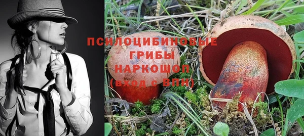 эйфоретик Вязьма