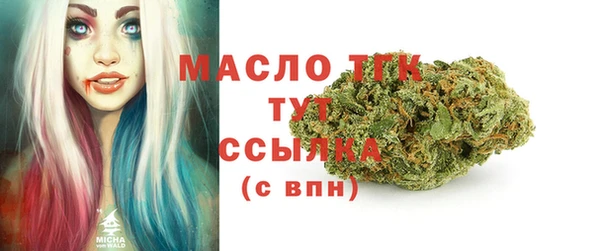 спиды Вяземский