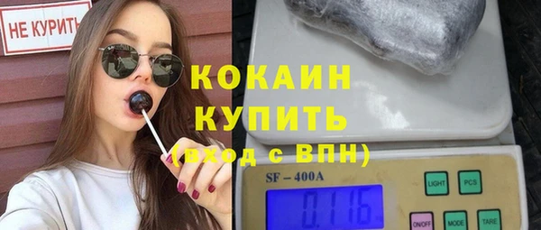 стаф Вязники