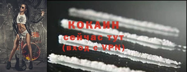 стаф Вязники