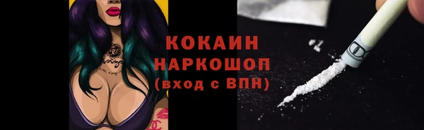 спиды Вяземский