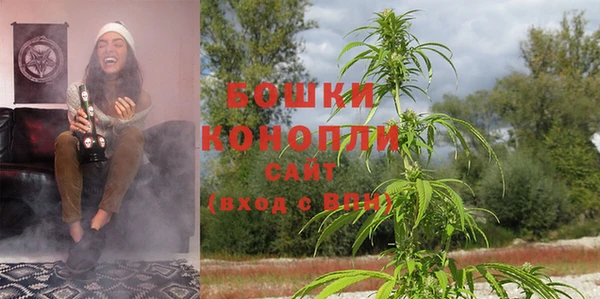 эйфоретик Вязьма