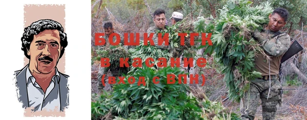 спиды Вяземский