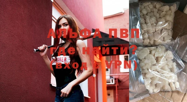 спиды Вяземский