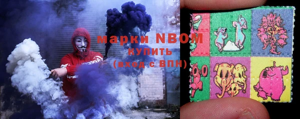 стаф Вязники