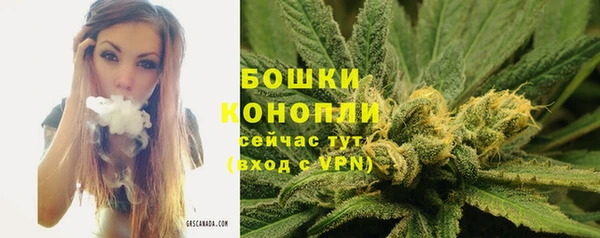 эйфоретик Вязьма