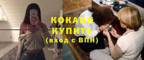 стаф Вязники