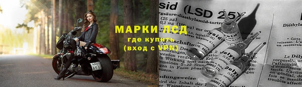 спиды Вяземский